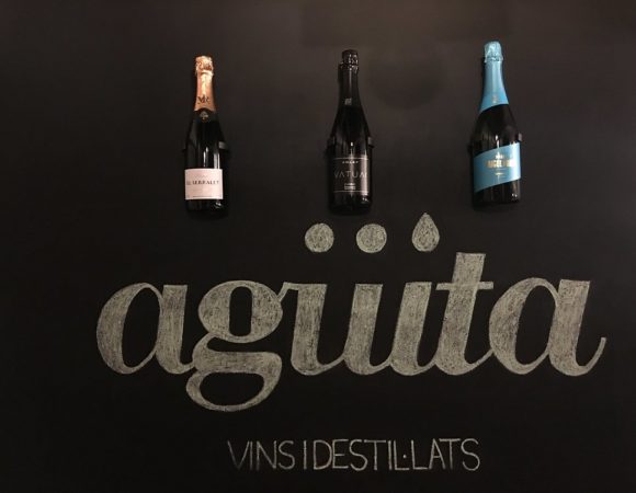 vins-desti-lats-i-cava