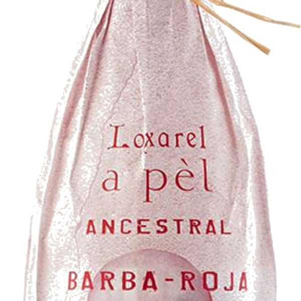 Barba-roja