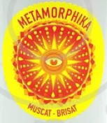 Metamorphika Muscat Orange