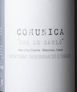 Suc de Sauló