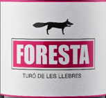 Turó de les Llebres 2019